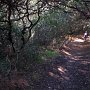 The Manzanita Loop trail provides nice shade coverage in warmer weather.